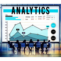 Strategic Analytic Solutions
