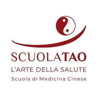 ScuolaTao Sagl logo - Similar company to Hack4Health Foundation