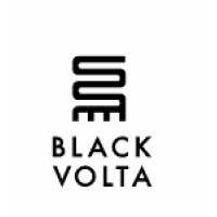 Black Volta Ventures logo - Similar company to Connected Diaspora