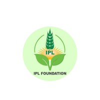 IPL Foundation logo - Similar company to Townmaking Institute