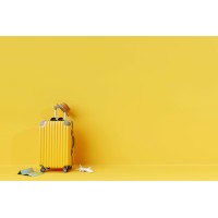 The Destination Specialists logo - Similar company to Ridgecore Solutions