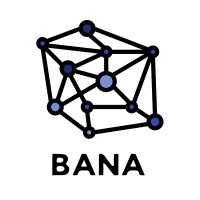 BANA: Business Analytics Networking Association logo - Similar company to Gm Advisory