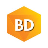BD WALAY logo - Similar company to Polyglot Digital