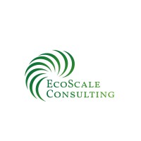 EcoScaleConsulting logo - Similar company to Thexecutives
