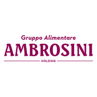 Ambrosini Holding logo - Similar company to G-Professional S.P.A.