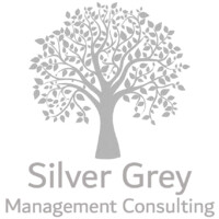 Silver Grey Management Consulting logo - Similar company to Quantyx Group