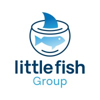 little fish Capital logo - Similar company to Hamara Finance Services