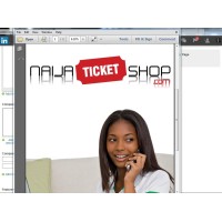 Naija Ticket Shop logo - Similar company to Afritickets