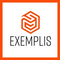EXEMPLIS logo - Similar company to Exemplis Llc