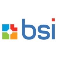 BSI-info logo - Similar company to Cryptocademia