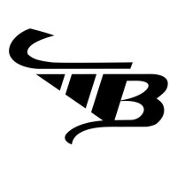 MB Artists logo - Similar company to Neuraworks