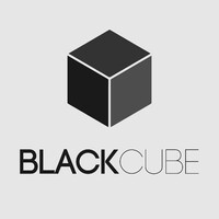 BlackCube Intellectual Capital logo - Similar company to Space Delta 10