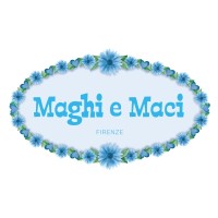 Maghiemaci logo - Similar company to Zerolab