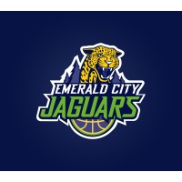 The Emerald City Jaguars logo - Similar company to Nil Blast