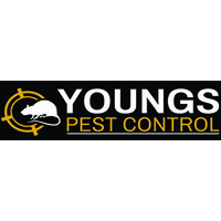 Youngs Pest Control logo - Similar company to Spick N Span