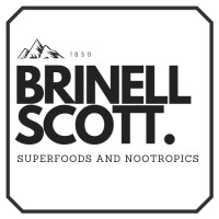 Brinell Scott