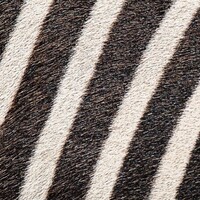 Agile Zebra logo - Similar company to Brainnwave
