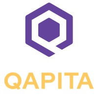 Qapita logo - Similar company to Ravvio