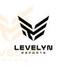 LEVELYN ESPORTS logo - Similar company to 360 Total Solution Limited, International Green & Leed Expert