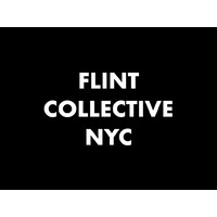 Flint Collective NYC logo - Similar company to Litely