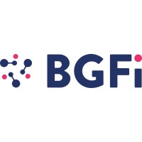 BGFi - Data & Analytics logo - Similar company to Data Vectis