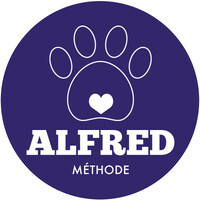 Méthode ALFRED logo - Similar company to Hm Medical Services