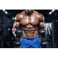build muscle logo - Similar company to Muscle Concepts