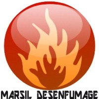 MARSIL DESENFUMAGE logo - Similar company to Siris Protection