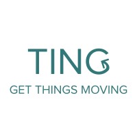 Ting Design logo - Similar company to Southpartner