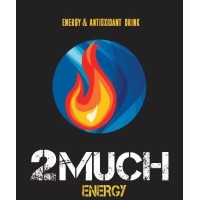 2Much Inc. SpA. logo - Similar company to 4Supplychain.Cl
