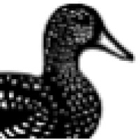 Duckworth Publishers
