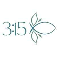 3:15, LLC logo - Similar company to Hacknow