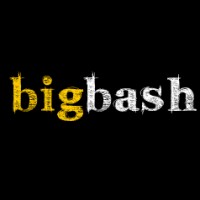 Big Bash Media logo - Similar company to Group Mrms