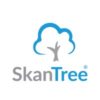 Skantree Agencja Marketingowa