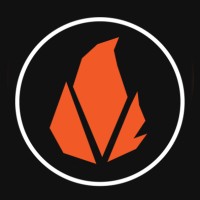 Pro MediaFire logo - Similar company to Pmf Creative