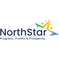 North Star Global FZ LLC formerly known as Scan International Business Solutions FZ LLC logo - Similar company to Raqba Realty
