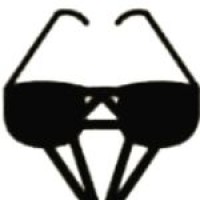 Badex Software logo - Similar company to Badex Ltd