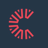 Confirm Audit & Assurance logo - Similar company to Jan Veerman Vis