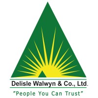 Delisle Walwyn & Co Ltd. logo - Similar company to Antigua Computer Technology (Act)