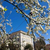 Faculty of Pharmacy, Medical University of Sofia logo - Similar company to Weiss Pharmacy