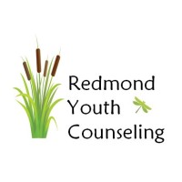 Salveo Youth Counseling logo - Similar company to Remarkable Services