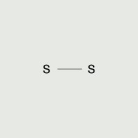 Symbiotica Studio logo - Similar company to Ada Ide Indonesia