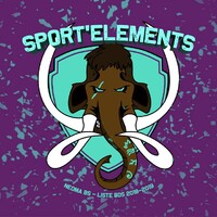 Sport'Elements - BDS 2019/2020 de Neoma BS Reims logo - Similar company to Global Training Sport