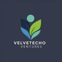 VelvetEcho Ventures logo - Similar company to Purequest Studios