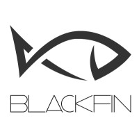 Blackfin Security Group (Acquired By Symantec)