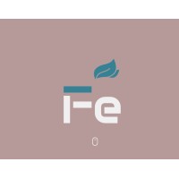 Falcon Egypt logo - Similar company to Falcon Eye Solutions