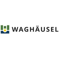 Stadtverwaltung Waghäusel logo - Similar company to Enginsoft Gmbh