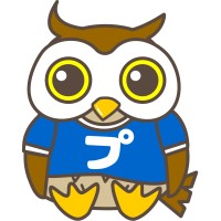 Prorow Japan logo - Similar company to Illusion Ray S.A.