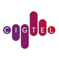 CIGTEL logo - Similar company to 2P Secure