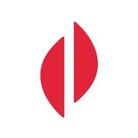 INSAR logo - Similar company to Uli Mexico